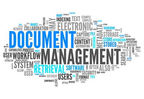 Management Services .